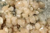 Peach Stilbite Crystals on Lustrous Heulandite - India #348342-1